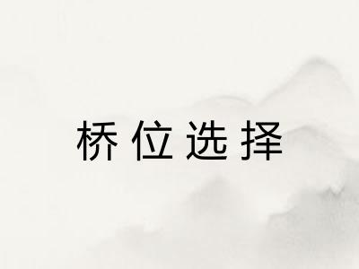 桥位选择 桥位选择