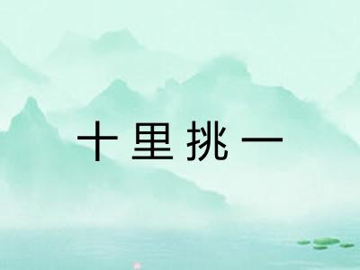 十里挑一 十里挑一