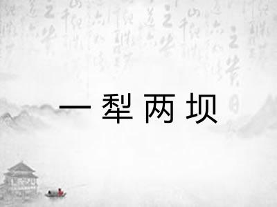 一犁两坝 一犁两坝