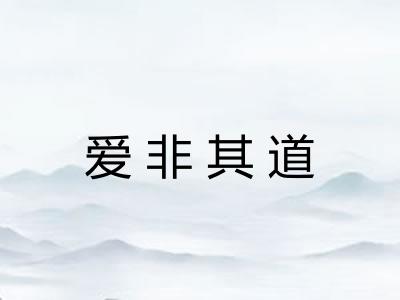 爱非其道