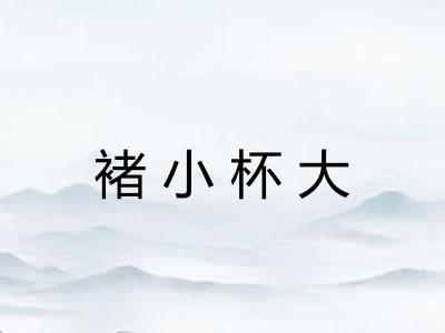 褚小杯大 褚小杯大