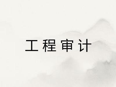 工程审计 工程审计