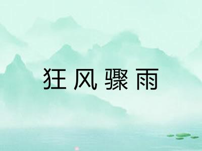 狂风骤雨 狂风骤雨