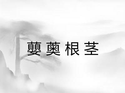 蘡薁根茎 蘡薁根茎