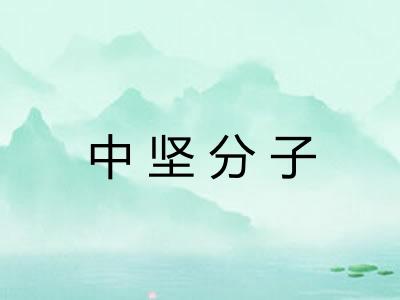 中坚分子 中坚分子