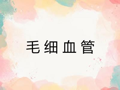 毛细血管