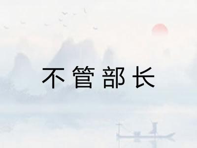 不管部长 不管部长