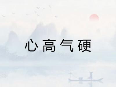 心高气硬