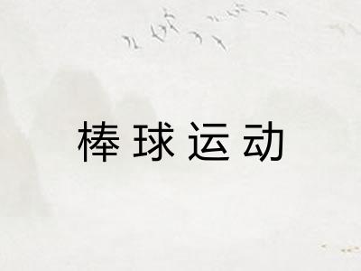 棒球运动 棒球运动