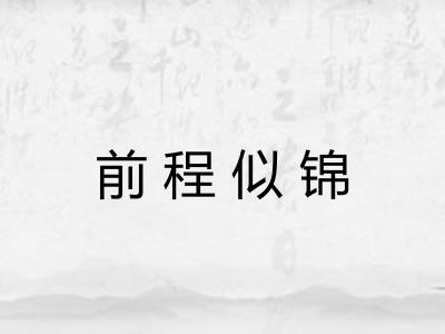前程似锦 前程似锦