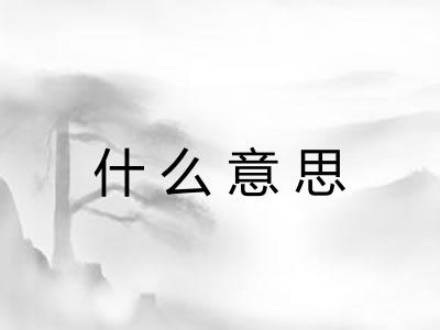 什么意思 什么意思