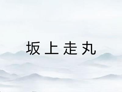 坂上走丸 坂上走丸