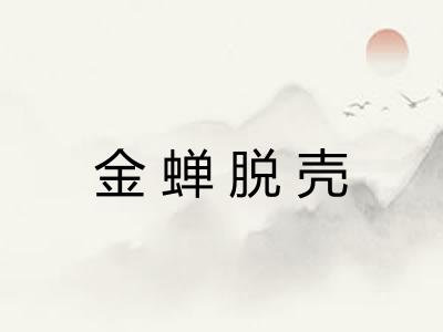 金蝉脱壳 金蝉脱壳