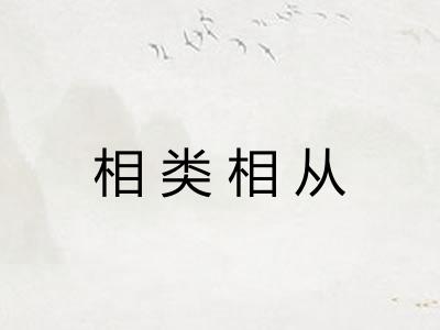 相类相从