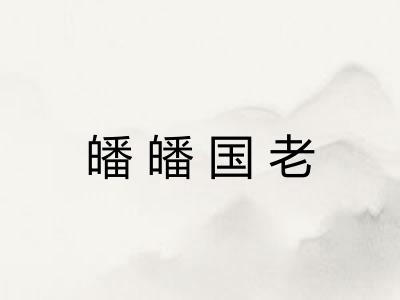 皤皤国老 皤皤国老