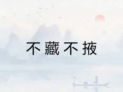 不藏不掖 不藏不掖