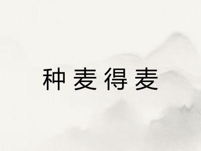 种麦得麦 种麦得麦