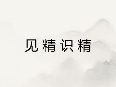 见精识精 见精识精