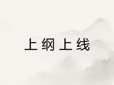 上纲上线 上纲上线