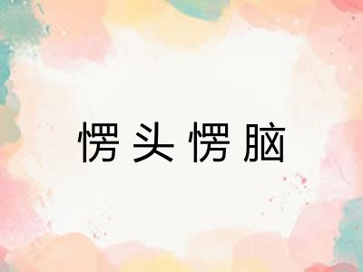 愣头愣脑 愣头愣脑