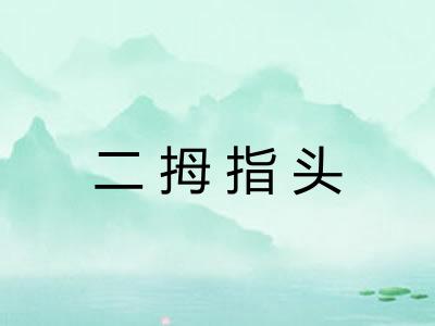 二拇指头 二拇指头