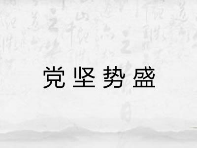 党坚势盛 党坚势盛