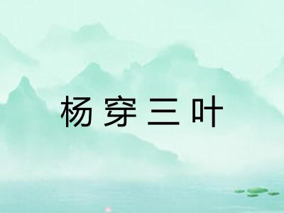 杨穿三叶 杨穿三叶