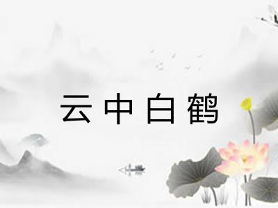 云中白鹤 云中白鹤