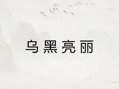 乌黑亮丽 乌黑亮丽