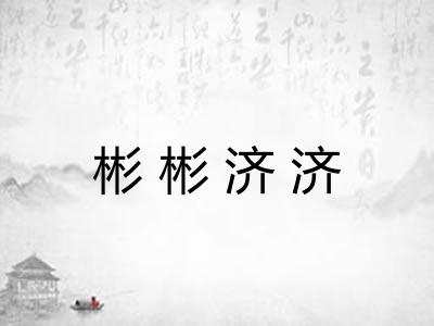 彬彬济济 彬彬济济