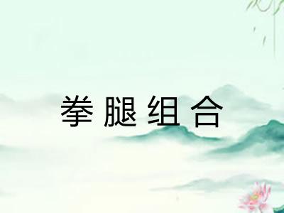 拳腿组合 拳腿组合