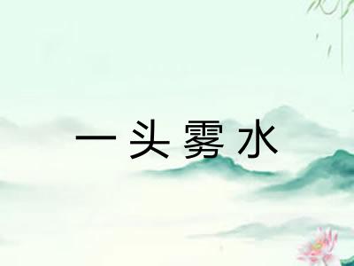 一头雾水 一头雾水