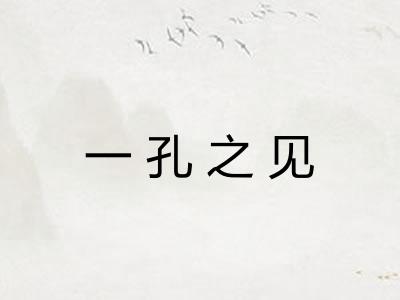 一孔之见 一孔之见