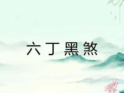 六丁黑煞 六丁黑煞