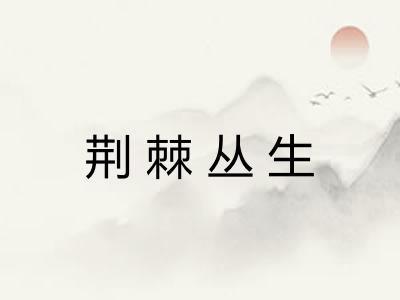 荆棘丛生 荆棘丛生