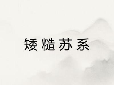 矮糙苏系 矮糙苏系