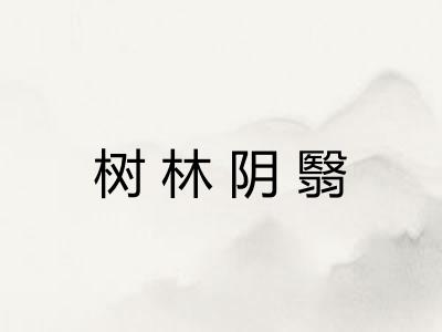 树林阴翳 树林阴翳