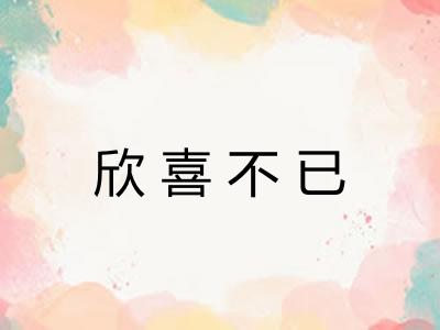 欣喜不已 欣喜不已