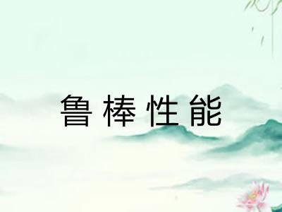 鲁棒性能 鲁棒性能