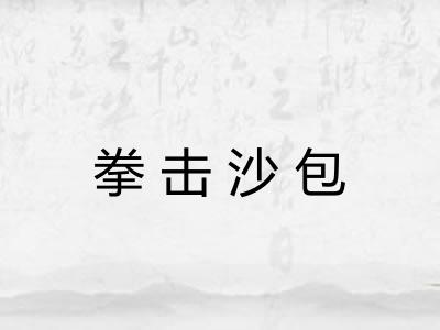 拳击沙包 拳击沙包