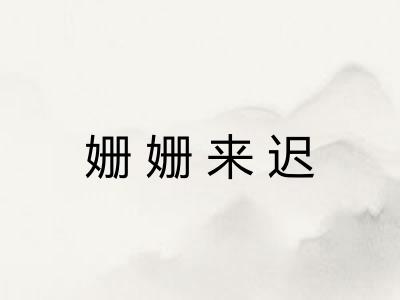 姗姗来迟 姗姗来迟