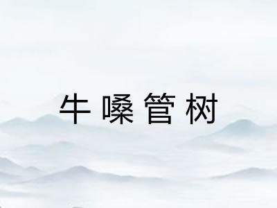 牛嗓管树 牛嗓管树