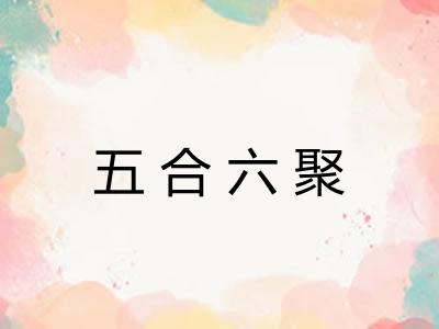 五合六聚