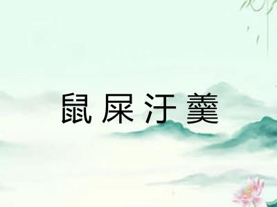 鼠屎汙羹 鼠屎汙羹