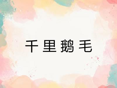 千里鹅毛 千里鹅毛
