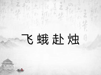 飞蛾赴烛 飞蛾赴烛