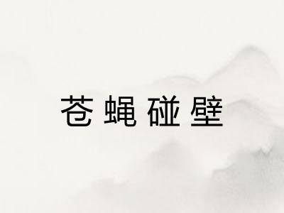 苍蝇碰壁 苍蝇碰壁