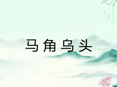马角乌头 马角乌头