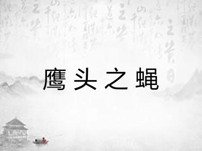 鹰头之蝇 鹰头之蝇