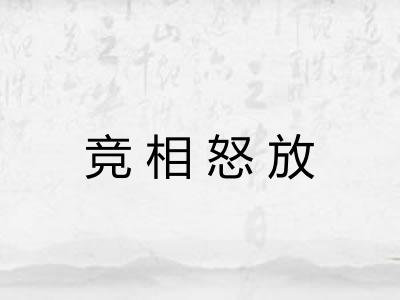 竞相怒放 竞相怒放